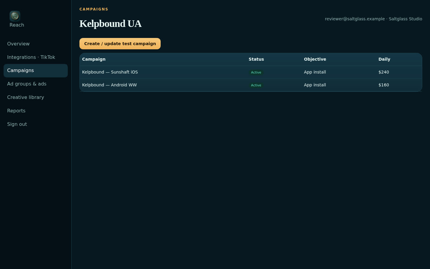 Kelpbound Reach campaign view
